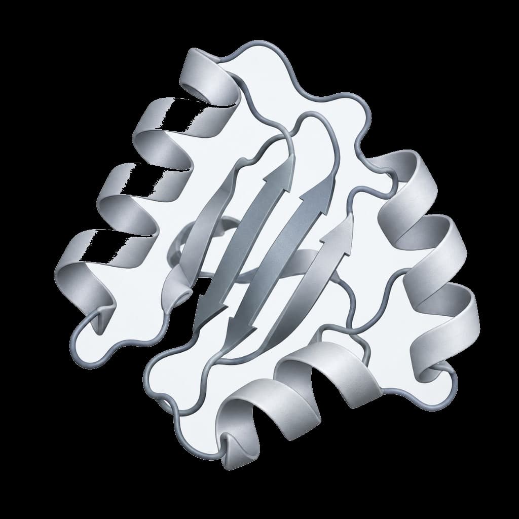 Grey ribbon render of a protein with alpha helices and beta sheets